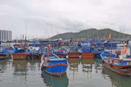 Ảnh minh họa. (Nguồn: TTXVN)