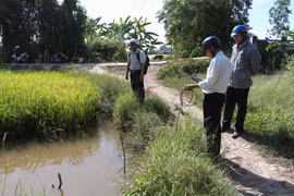Cán bộ nông nghiệp huyện Long Mỹ (Hậu Giang) thường xuyên đo độ mặn nội đồng trong vụ Đông Xuân 2020. (Nguồn: TTXVN)