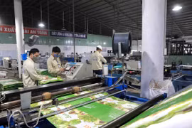 Dây chuyền sản xuất các sản phẩm bao bì tại Công ty Cổ phần bao bì Thuận Đức. (Ảnh: Phạm Kiên/TTXVN) 