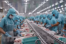 Chế biến cá tra xuất khẩu tại nhà máy ở tỉnh Đồng Tháp. (Ảnh: TTXVN) 