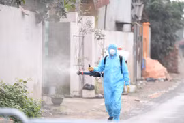 Ảnh minh họa. (Nguồn: Vietnam+)