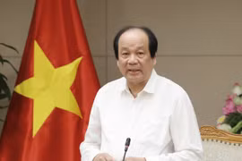 Bộ trưởng, Chủ nhiệm Văn phòng Chính phủ Mai Tiến Dũng, Tổ trưởng Tổ công tác của Thủ tướng Chính phủ phát biểu. (Ảnh: Doãn Tấn/TTXVN)