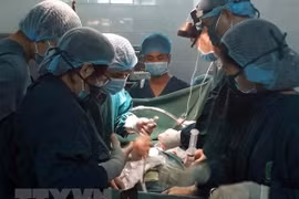 Ảnh minh họa. (Nguồn: TTXVN)