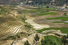 Vẻ đẹp ruộng bậc thang ở Mù Cang Chải vào mùa nước đổ. (Ảnh: Trần Giáp/Vietnam+)