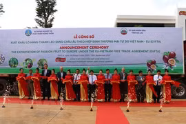Đại biểu thực hiện nghi thức lễ cắt băng xuất khẩu chanh leo sang thị trường châu Âu tại Gia Lai. (Ảnh: Hồng Điệp/TTXVN)