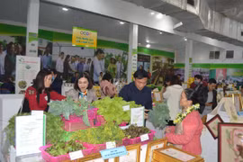Các sản phẩm OCOP được trưng bày tại Hội nghị. (Ảnh: Phương Anh/TTXVN)