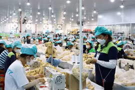 (Ảnh minh họa: TTXVN phát)
