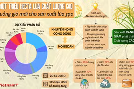 Kỳ vọng gì từ Đề án 1 triệu hécta lúa chất lượng cao