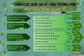 Đích đến của Việt Nam trong Chiến lược Quốc gia về Tăng trưởng Xanh
