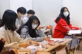 Ảnh minh hoạ. (Nguồn: Vietnam+)
