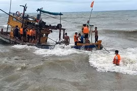 (Ảnh minh họa: TTXVN phát)