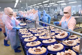 Chế biến tôm xuất khẩu tại nhà máy của Tập đoàn Minh Phu Seafood Corp, Khu công nghiệp Nam Sông Hậu (Hậu Giang). (Ảnh: Vũ Sinh/TTXVN)