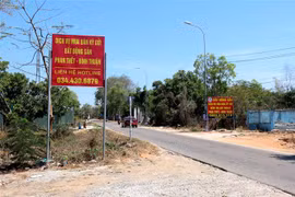 Nhiều biển giới thiệu, môi giới bất động sản được dựng lên trên tuyến đường dẫn vào khu vực dự án sân bay Phan Thiết. (Ảnh: Nguyễn Thanh/TTXVN)