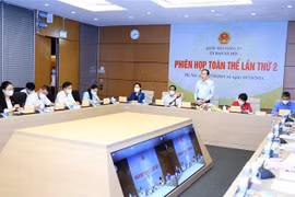 Phó Chủ tịch Thường trực Quốc hội Trần Thanh Mẫn phát biểu chỉ đạo. (Ảnh: Nguyễn Điệp/TTXVN)