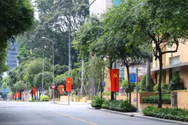 Đường Hai Bà Trưng, Quận 1, TP.HCM. (Ảnh: Thanh Vũ/TTXVN)