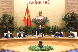 Phó Thủ tướng Vũ Đức Đam phát biểu. (Ảnh: Văn Điệp/TTXVN)
