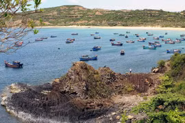 Ghềnh đá đĩa ở Phú Yên. (Ảnh: Thanh Tùng-TTXVN)