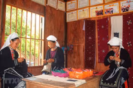 Ảnh minh họa. (Nguồn: TTXVN)