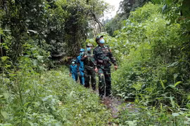 Cán bộ, chiến sỹ Chốt kiểm soát dịch bệnh số 1, Đồn Biên phòng Hương Nguyên (huyện A Lưới) tuần tra khu vực rừng nguyên sinh xã A Roàng. (Ảnh: Đỗ Trưởng/TTXVN)