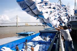 Bốc dỡ gạo xuất khẩu. (Ảnh: TTXVN)