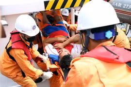 Lực lượng cứu hộ đưa thuyền viên về bờ. (Ảnh: Trần Hoàng Ngọc/TTXVN)
