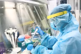 Xét nghiệm sàng lọc virus SARS-CoV-2. (Ảnh: TTXVN)