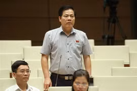 Đại biểu Quốc hội tỉnh Quảng Nam Nguyễn Quang Dũng phát biểu ý kiến. (Ảnh: Doãn Tấn/TTXVN)