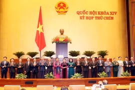 Hội đồng bầu cử quốc gia ra mắt Quốc hội. (Ảnh: TTXVN)