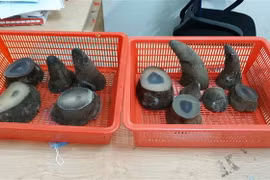 Một vụ buôn lậu sừng tê giác bị phát hiện, thu giữ. (Ảnh: TTXVN phát)