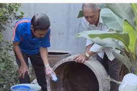 ​Diệt bọ gậy trong các dụng cụ có chứa nước. (Ảnh: TTXVN)