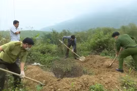 Lực lượng chức năng chôn lấp số động vật bị thu giữ. (Ảnh: Hoa Mai/TTXVN)