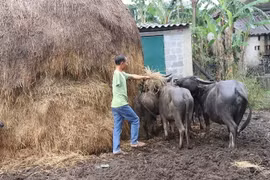 Một nạn nhân bom mìn ở Quảng Bình. (Ảnh minh họa. Nguồn: TTXVN)