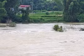 Cầu ngầm xóm Háng Thoang, xã Đàm Thủy - nơi anh Hoàng Văn Cương bị nước lũ cuốn trôi. (Ảnh: TTXVN)