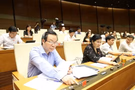 Các Đại biểu Quốc hội bấm nút thông qua dự án Luật Thanh niên (sửa đổi). (Ảnh: Dương Giang/TTXVN)