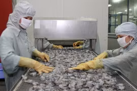 Xuất khẩu tôm lần đầu tiên đạt giá trị trên 3 tỷ USD