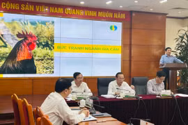 (Ảnh: PV/Vietnam+)