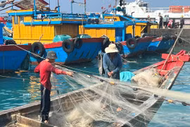 Việt Nam đã có nhiều chuyển biên tích cực trong việc chuyển từ nghề cá nhân dân sang nghề cá có trách nhiệm đã có sự chuyển biến tích cực.(Ảnh: PV/Vietnam+)