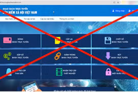 Web giả mạo Cổng dịch vụ công của Bảo hiểm xã hội Việt Nam. (Ảnh: PV/Vietnam+)