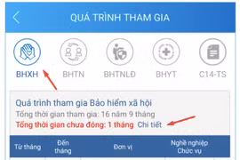 Ứng dụng sẽ gửi thống báo về thời gian chậm đóng, trốn đóng bảo hiểm xã hội. (Ảnh: PV/Vietnam+)