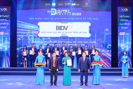 Đại diện BIDV nhận giải thưởng từ ban tổ chức. (Ảnh: Vietnam+)