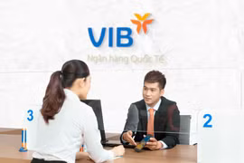 Gaio dịch tại VIB. (Ảnh: Vietnam+)
