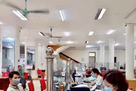 Giao dịch tại Agribank. (Ảnh: Vietnam+)
