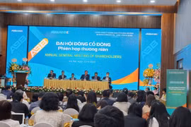 Toàn cảnh Đại hội đồng cổ đông ABBANK. (Ảnh: CTV/Vietnam+)