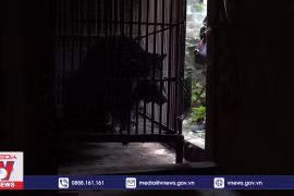 Ảnh chụp màn hình