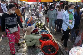Ảnh chỉ có tính minh họa. (Nguồn: C-Post)