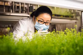 Ảnh chỉ có tính minh họa.