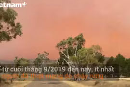 (Ảnh: Vietnam+)