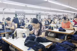 (Ảnh minh họa: Vũ Sinh/TTXVN)