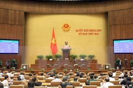 (Ảnh minh họa: Phạm Kiên/TTXVN)