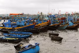 (Ảnh minh họa: An Hiếu/TTXVN)